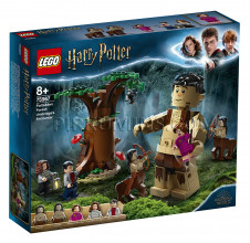 75967 LEGO® Harry Potter Запретный лес: Грохх и Долорес Амбриджлет