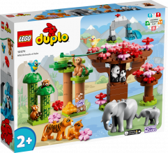 10974 LEGO® DUPLO Āzijas savvaļas dzīvnieki, no 2+ gadiem, NEW 2022! (Maksas piegāde eur 3.99)