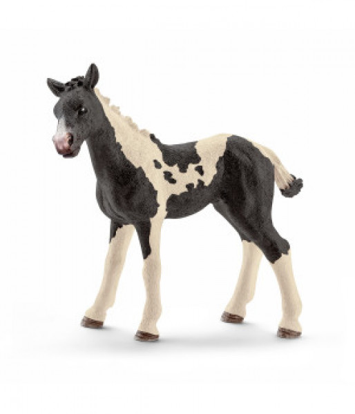 Schleich Horse club pintos šķirnes kumeļš
