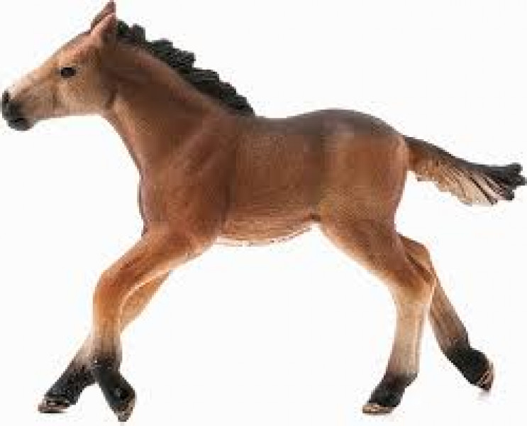 Schleich HORSE CLUB Mustang Foal kumeļš 73508